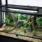 Світильник з лампою T5 Repti-Zoo Lighting Combo Smart KIT 10.0 UVB 39W 87.5 см (ZAT2839ST) для рептилій — Фото 12