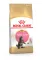 Сухий корм Royal Canin MAINECOON KITTEN для кошенят породи Мейн-кун 2 кг — Фото 6