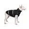 Жилет Pet Fashion «Big Boss» для собак, розмір 2XL, чорний — Фото 7