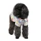 Сорочка Pet Fashion «Фенікс» для собак, розмір S, принт — Фото 5