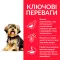 Hill’s Science Plan Adult Sensitive Stomach&Skin Small&MIni Сухий корм при чутливому шлунку та шкірі для дорослих малих і мініатюрних собак, з куркою, 1,5 кг — Фото 7