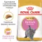 Сухий корм Royal Canin KITTEN BRITISH SHORTHAIR для породи кошенят Британська короткошерста кішка 0,4 кг — Фото 6