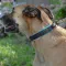 Ferplast ERGOFLUO C15/42 YELLOW Нашийник, нейлон — Фото 13