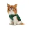 Борцівка Kale ТМ Pet Fashion для собак M зелена — Фото 6