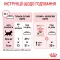 Сухий корм Royal Canin KITTEN для кошенят всіх порід 10 кг — Фото 13