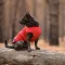 Жилет Pet Fashion «E.Vest» для собак, розмір M, червоний — Фото 9