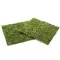 Фон моховий Repti-Zoo Natural Moss Back & Bottom 20x20см 2шт. (NCM2020) — Фото 14
