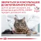 Дієтичний вологий корм Royal Canin GASTROINTESTINAL FIBRE RESPONSE CAT для котів 85 г — Фото 17