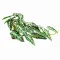 Штучна рослина Hobby Calathea 2 40×20 см (37715) для тераріуму, акватераріуму та палюдаріуму — Фото 4