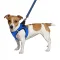 Шлея для собак Bronzedog Mesh Vest 3D сітка синя L — Фото 6