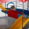 Ferplast CAGE CIRCUS FUN Клітка для хом'яків з наліпками — Фото 17