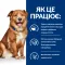Hill’s Prescription Diet Derm Complete Сухий корм для собак при харчовій алергії та атопічному дерматиті, 4 кг — Фото 12