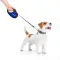 Повідець-рулетка для собак WAUDOG R-leash, малюнок "Сміливість", M, до 25 кг, 5 м, світловідбиваюча стрічка чорний — Фото 19