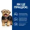 Hill's Prescription Diet l/d Сухий корм для собак для підтримання функції печінки, 1,5 кг — Фото 12