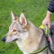 Ferplast SPORT DOG P L YELLOW Шлея, нейлон — Фото 14