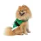 Попона Pet Fashion "Santa" для собак, розмір XS2, зелена — Фото 7
