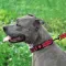 Нашийник для Собак BronzeDog Active Нейлоновий зі Світловідбиттям та Пластиковою Пряжкою Червоний M — Фото 14