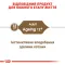 Вологий корм Royal Canin AGEING+12 для котів всіх порід 85 г — Фото 9