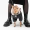 Костюм Pet Fashion «Black» для собак, розмір M, чорний — Фото 5