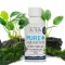 Бактерії в гелі Evolution Aqua PURE AQUARIUM FILTER START GEL 250мл. — Фото 4
