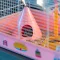Ferplast CAGE CRICETI 9 PRINCESS WH(x1) Клітка для хом'яків з декором — Фото 15