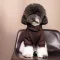 Толстовка Pet Fashion «Megan» для дівчинки, розмір XS2, шоколадна — Фото 7