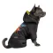 Костюм Pet Fashion «Flash» для собак, розмір S, чорний — Фото 3