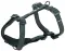 Шлея Trixie CityStyle H-harness для собак бавовна M–L 52–75 см 20 мм чорна — Фото 4
