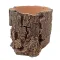 Декорація Hobby Forest Stump 14×12,5×10 см - декоративний пень, поїлка для тераріуму (40848) — Фото 9