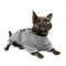Жакет Pet Fashion «Шатл» для собак, розмір XS2, сірий — Фото 4
