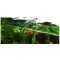 Розпилювам для компресора Aquario Neo Diffuser Special Air Green M + U Clip — Фото 13