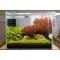 Ґрунт для акваріума Aquario Neo Soil Plant 8л (neo-soil-plant-8) — Фото 13