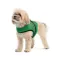 Шлея Ross ТМ Pet Fashion для собак XS зелена — Фото 6
