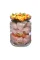 Консервований корм Brit Fresh Fish/Pumpkin для собак, з рибою та гарбузом, 400 г — Фото 6