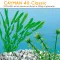 Ferplast CAYMAN 40 CLASSIC Акваріум чорний — Фото 10