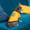 Футболка Pet Fashion Jessica для собак бавовна трикотаж жовта S — Фото 7