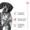 Сухий корм Royal Canin MEDIUM ADULT для дорослих собак середніх порід 4 кг — Фото 11