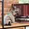 Комбінезон Pet Fashion Ego для собак, розмір М2, бежевий — Фото 11