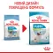 Сухий корм Royal Canin XSMALL PUPPY для цуценят мініатюрних порід 1,5 кг — Фото 12