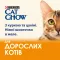 Вологий корм CAT CHOW Adult для дорослих котів шматочки в желе з куркою та цукіні 85 г — Фото 13