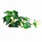 Штучна рослина Hobby Alocasia 2 40 × 20 см (37718) для тераріуму, акватераріуму та палюдаріуму — Фото 3