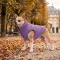 Курточка для собак WAUDOG Re-clothes двостороння, XS25, A 22-25, B 36-38, C 27-30, бузковий — Фото 7