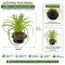 Штучна рослина Hobby Terra Succulent 5 8 см (37734) для тераріуму, акватераріуму та палюдаріуму — Фото 4