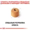 Сухий корм Royal Canin LABRADOR ADULT для дорослих собак породи Лабрадор 12 кг — Фото 8