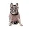 Попона Pet Fashion Max для собак M2 — Фото 8