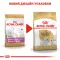 Сухий корм Royal Canin WESTIE ADULT для дорослих собак породи Вест-хайленд-вайт-тер'єр 3 кг — Фото 7