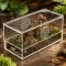 Тераріум акриловий Repti-Zoo Easy Clean Acrylic ACR47 20×10×10 см для комах, павуків — Фото 10