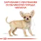 Сухий корм Royal Canin CHIHUAHUA PUPPY для цуценят породи Чихуахуа 1,5 кг — Фото 8