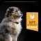 Сухий корм PRO PLAN Medium Puppy <1 Healthy Start для цуценят середніх порід з куркою 12 кг — Фото 15