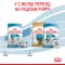 Сухий корм Royal Canin MINI STARTER для дорослих собак малих порід 8 кг — Фото 16